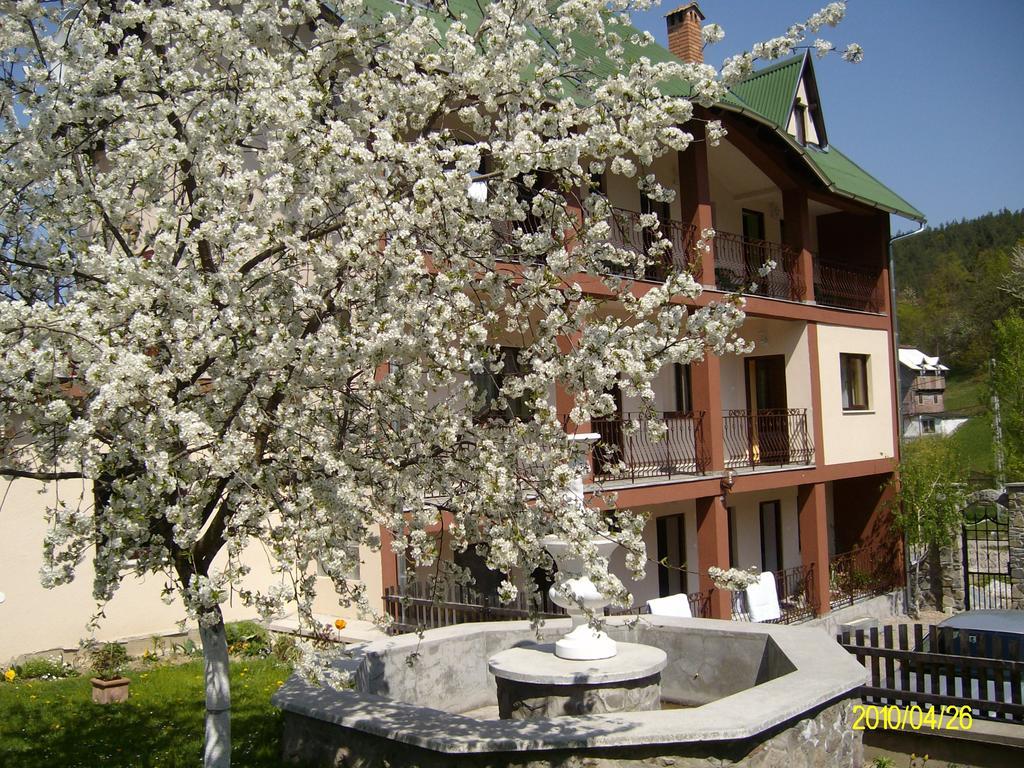 Mokus Panzio Bed & Breakfast Bicfalau Exterior photo
